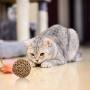 Junglers Wicker Toy Ball, Small Animal Activity Play Chew Grass Ball,Funny Willow Branch Ball Woven Ball Playing Ball Toy, Reduce Stress for Small Animals