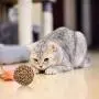 Junglers Wicker Toy Ball, Small Animal Activity Play Chew Grass Ball,Funny Willow Branch Ball Woven Ball Playing Ball Toy, Reduce Stress for Small Animals Junglers Wicker Toy Ball, Small Animal Activity Play Chew Grass Ball,Funny Willow Branch Ball Woven Ball Playing Ball Toy, Reduce Stress for Small Animals