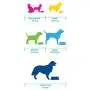 Platinum Pets Embossed Non-Tip Stainless Steel Cat/Dog Bowl