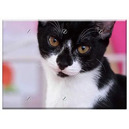 Triple Blank Wall Plate Cover - Cat Pet Black And White Cat Domestic Cat Young Cat 1 Triple Blank Wall Plate Cover - Cat Pet Black And White Cat Domestic Cat Young Cat 1