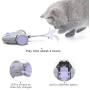 DADYPET Interactive Robotic Cat Toy, Mouse Shape Automatic Irregular Moving USB Rechargeable Electronic Toy with 5 Replacement Feathers for Kitten, All Floors Available