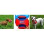 Chuckit! Kick Fetch, an Interactive Dog Toy Large Size 20cm