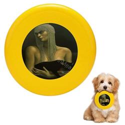 Pet Frisbee Flying Disc Dog Toy - Multifunction Solitare Jane Whiting Chrzanoska