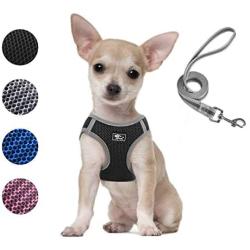 Dog and Cat Universal Harness with Leash - Cat Harness Escape Proof - Adjustable Reflective Step in Dog Harness for Small Dogs Medium Dogs - Soft Mesh Comfort Fit No Pull No Choke (XS, Black)