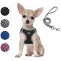 Dog and Cat Universal Harness with Leash - Cat Harness Escape Proof - Adjustable Reflective Step in Dog Harness for Small Dogs Medium Dogs - Soft Mesh Comfort Fit No Pull No Choke (XS, Black)