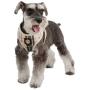 Puppia Authentic Junior Harness A