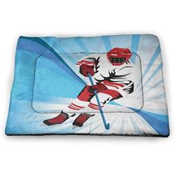 DayDayFun Hockey Cute Pet Mat Grungy Retro Style Halftone Background with a Goaltender Figure in Circle Non-Slip Dog Pads Pale Blue Black White
