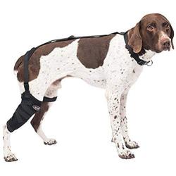 Caldera Pet Therapy Tall Stifle Wrap with Gel, Medium/Tall, Black