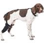 Caldera Pet Therapy Tall Stifle Wrap with Gel, Medium/Tall, Black