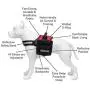 Industrial Puppy Service Dog Vest with Hook and Loop Straps and Detachable Backpacks - Harnesses in 7 Sizes from XXS to XXL - Service Dog Harness Features Reflective Patch and Comfortable Mesh Design Industrial Puppy Service Dog Vest with Hook and Loop Straps and Detachable Backpacks - Harnesses in 7 Sizes from XXS to XXL - Service Dog Harness Features Reflective Patch and Comfortable Mesh Design