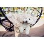 PETIQUE PB01801000 The Velvet Blanky Pet Blanket, Tan, One Size