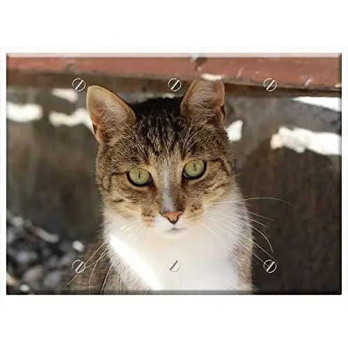 Triple Blank Wall Plate Cover - Cat Cat Face Cute Kitten Feline Kitty Furry Pet Triple Blank Wall Plate Cover - Cat Cat Face Cute Kitten Feline Kitty Furry Pet