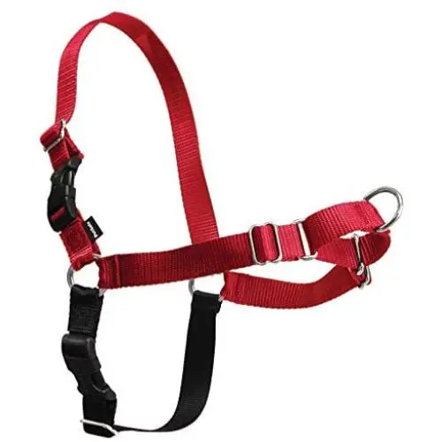 PetSafe Easy Walk Dog Harness, No Pull Dog Harness – Perfect for Leash & Harness Training – Stops Pets from Pulling and Choking on Walks – Works with Small, Medium and Large Dogs PetSafe Easy Walk Dog Harness, No Pull Dog Harness – Perfect for Leash & Harness Training – Stops Pets from Pulling and Choking on Walks – Works with Small, Medium and Large Dogs