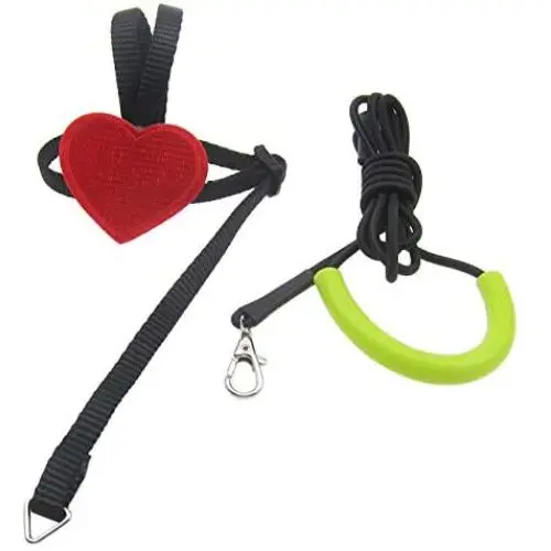 Alfie Pet - Talea Harness and Leash Set for Bird Alfie Pet - Talea Harness and Leash Set for Bird