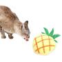 ocijf179 Cat Toy Pet Cat Kitten Cute Carrot Pineapple Shape Plush Doll Catnip Molar Bite Chew Toy - Carrot #