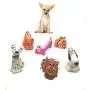 Set 6 Extra Small Squeaky Toys for Dogs Small Puppy Tiny Dogs Natural Rubber (Latex) Complies with Same Safety Standards as Children’s Toys (Toys May Vary) Set 6 Extra Small Squeaky Toys for Dogs Small Puppy Tiny Dogs Natural Rubber (Latex) Complies with Same Safety Standards as Children’s Toys (Toys May Vary)