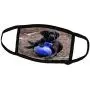 3dRose Black Labrador Retriever Pet Photo Dog Poses Favorite Ball Toy - Face Covers (fc_322721_2)