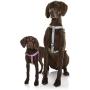 DOOG Step-In Reinforced Neoprene Harness, Water Friendly, Quick-Drying, 2 Adjustable Areas