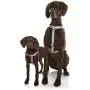 DOOG Step-In Reinforced Neoprene Harness, Water Friendly, Quick-Drying, 2 Adjustable Areas DOOG Step-In Reinforced Neoprene Harness, Water Friendly, Quick-Drying, 2 Adjustable Areas