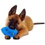 Nerf Dog Bash Football Dog Toy with Interactive LED, Lightweight, Durable and Water Resistant, 5.4 Inches for Medium/Large Breeds, Single Unit, Blue (2107) Nerf Dog Bash Football Dog Toy with Interactive LED, Lightweight, Durable and Water Resistant, 5.4 Inches for Medium/Large Breeds, Single Unit, Blue (2107)