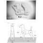 D-Wig Model Dog Only Grooming Practice White Dog Mannequin for Dog Groomers Reinforced Plastic