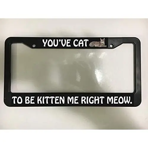 Lplpol Youve CAT to BE Kitten ME Cats PET Kitty Kitties Meow License Plate Frame
