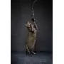 CAT DANCER Jungle Cat Wand 2 Pack, Multi Color (305) CAT DANCER Jungle Cat Wand 2 Pack, Multi Color (305)