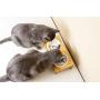 Pawmosa Elevated Bamboo Pet Table with Ceramic Bowls Raised/Anti-Slip Tilted Station Cats/Dogs Food/Drink Water-Resistant Surface Clean Feeding and Good Digestion for Pets