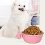 Yutiny Pet Food Water Bowl Stainless Steel Food Hanging Bowl Puppy Kitty Dog Parrot Bird Pet Drink Water Bowl Dish Crates Cages Hanging Feeder Bowl Yutiny Pet Food Water Bowl Stainless Steel Food Hanging Bowl Puppy Kitty Dog Parrot Bird Pet Drink Water Bowl Dish Crates Cages Hanging Feeder Bowl