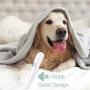 G.C Dog Clippers Grooming Kit with LED Light 2 Speed Low Noise USB Rechargable Electric Pet Hair Trimmers