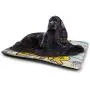 DayDayFun Nursery Printed Pet Cushion Colorful Forest with Owls Trees Leafs Mushrooms and Flowers Cute Drawing Style Pet Mats are Not Sticky Multicolor DayDayFun Nursery Printed Pet Cushion Colorful Forest with Owls Trees Leafs Mushrooms and Flowers Cute Drawing Style Pet Mats are Not Sticky Multicolor