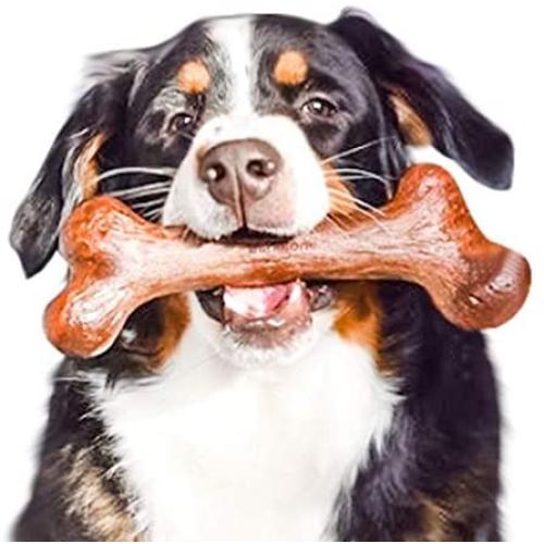 Pet Qwerks Extreme Dinosaur BarkBone Dog Chew Toy, Steak Flavor, XXXLarge