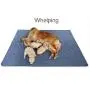 Upgrade Non-Slip Dog Pads Extra Large 72'' x 72'', Washable Puppy Pads with Fast Absorbent, Reusable, Waterproof for Training, Travel, Whelping, Housebreaking, Incontinence, for Playpen, Crate
