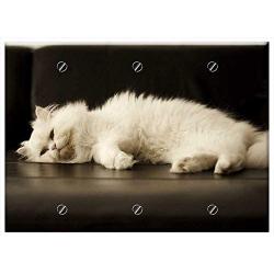 Triple Blank Wall Plate Cover - Adult White Cat Pet Pets Kitty Feline Clean