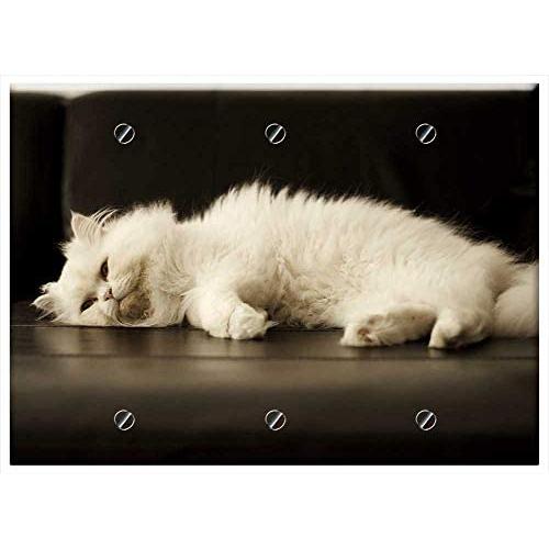 Triple Blank Wall Plate Cover - Adult White Cat Pet Pets Kitty Feline Clean