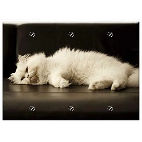 Triple Blank Wall Plate Cover - Adult White Cat Pet Pets Kitty Feline Clean Triple Blank Wall Plate Cover - Adult White Cat Pet Pets Kitty Feline Clean