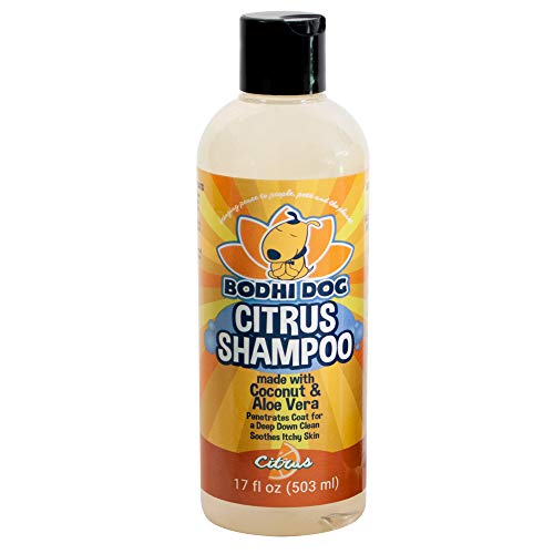 New Refreshing Orange Citrus Dog Shampoo | Coconut and Aloe Vera | All Natural Soothing & Moisturizing Pet Dog Puppy and Cat Wash - Made in USA - 1 Bottle 17oz (503ml)