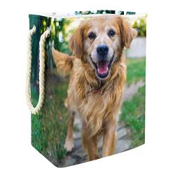 Storage Bag Pet Dog Large Foldable Waterproof Clothes Hamper Toys Storage Bag with Carry Handles 19.3x11.8x15.9 in