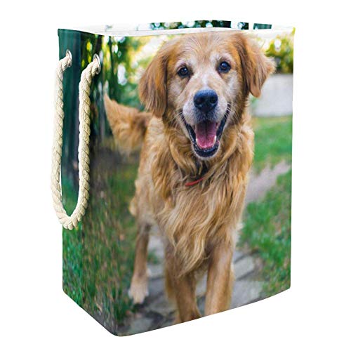Storage Bag Pet Dog Large Foldable Waterproof Clothes Hamper Toys Storage Bag with Carry Handles 19.3x11.8x15.9 in