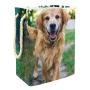 Storage Bag Pet Dog Large Foldable Waterproof Clothes Hamper Toys Storage Bag with Carry Handles 19.3x11.8x15.9 in