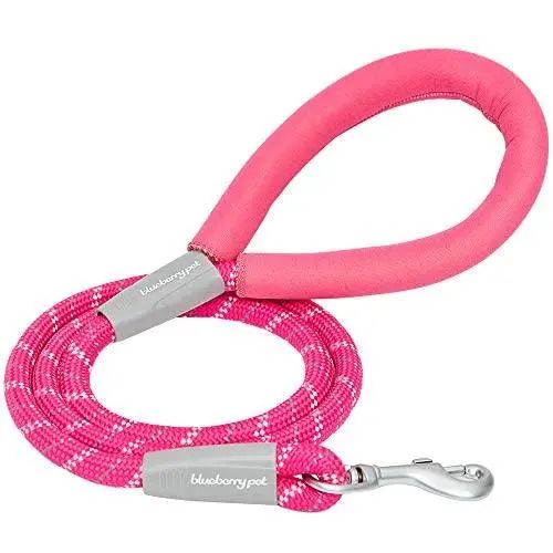 Blueberry Pet 8 Colors Durable Dog Rope Leash with Comfy Neoprene Handle Blueberry Pet 8 Colors Durable Dog Rope Leash with Comfy Neoprene Handle