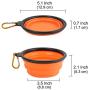 Vivifying Collapsible Dog Bowls, BPA Free Foldable Travel Dog Bowl for Feed and Water