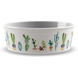 Cactus Pet Bowl, Saucer, Scatter Mat Pet Houseware Set