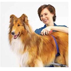 Master Equipment Adjustable Professional Dog Grooming Supports Clamp Cushion with Security Strap