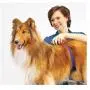 Master Equipment Adjustable Professional Dog Grooming Supports Clamp Cushion with Security Strap Master Equipment Adjustable Professional Dog Grooming Supports Clamp Cushion with Security Strap