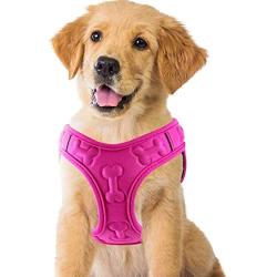 Comfort Fit, Soft Padded and Lightweight Dog Harness, Step in Dog Vest Harness for Small & Medium Dogs, Pink, S, Chest 14-16''