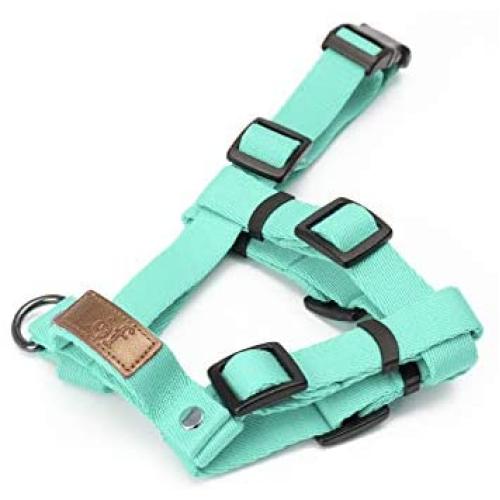 Lof Training Dog Harness with Handle, Designed to fit Dogs Body Best, Durable and Perfect for Small to Large Dogs (Extra Small, Neo Mint)