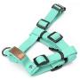 Lof Training Dog Harness with Handle, Designed to fit Dogs Body Best, Durable and Perfect for Small to Large Dogs (Extra Small, Neo Mint)