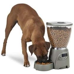 Petmate Portion Right Programmable Dog and Cat Feeder 2 Sizes Brushed Nickel