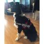 Doggie Stylz Service Dog Harness Vest Comes with 2 Reflective Service Dog DO NOT PET Removable Patches. Please Measure Dog Before Ordering
